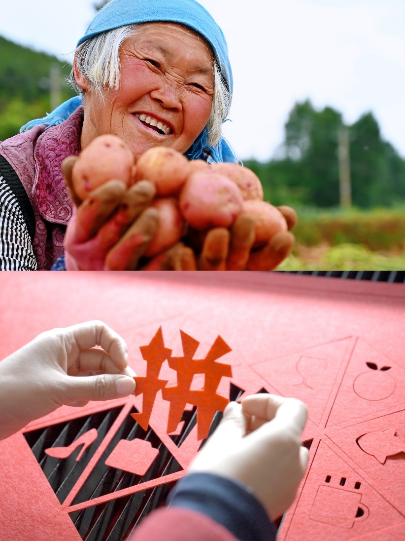 一季度，不管是云南寻甸的特色土豆，还是湖南永州的剪纸宫灯，拼多多持续助力各地优势产业加“数”发展。孟云归▕摄