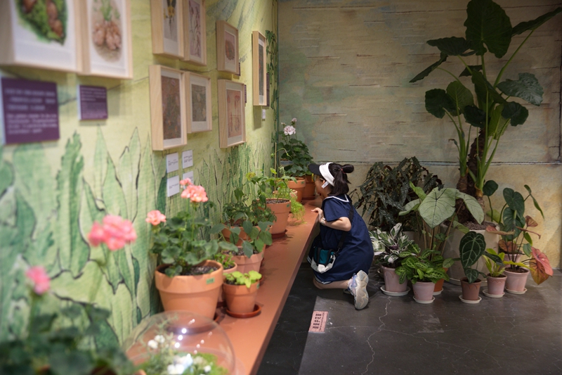小观众在观察植物
                            摄影/王晓东