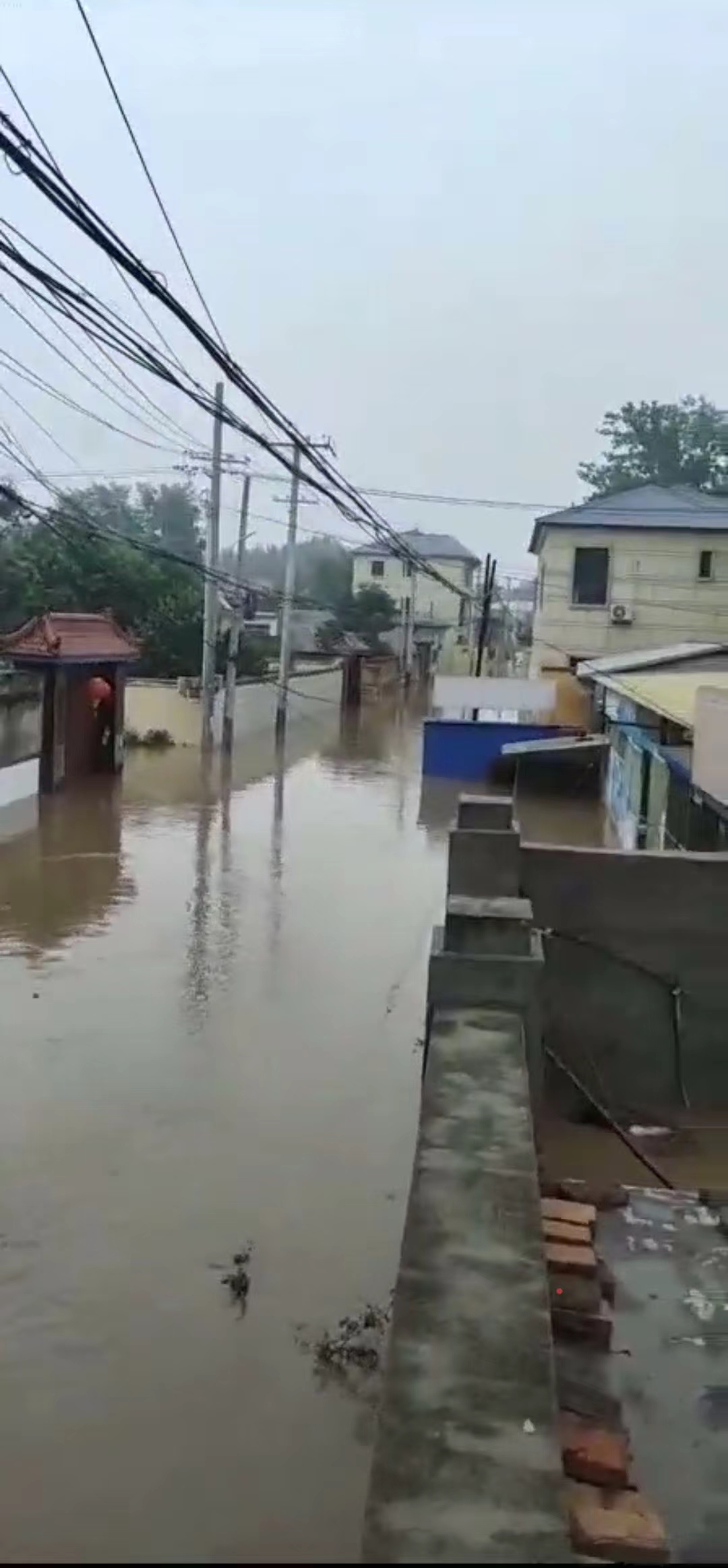涿州洪水亲历者：泄洪区村子淹成了“海”，仍有亲人没出来