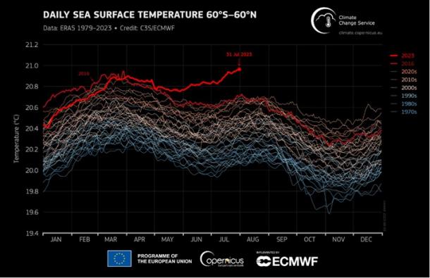 确认！今年7月是有记录以来最热月份，WMO:气温记录将不断被打破