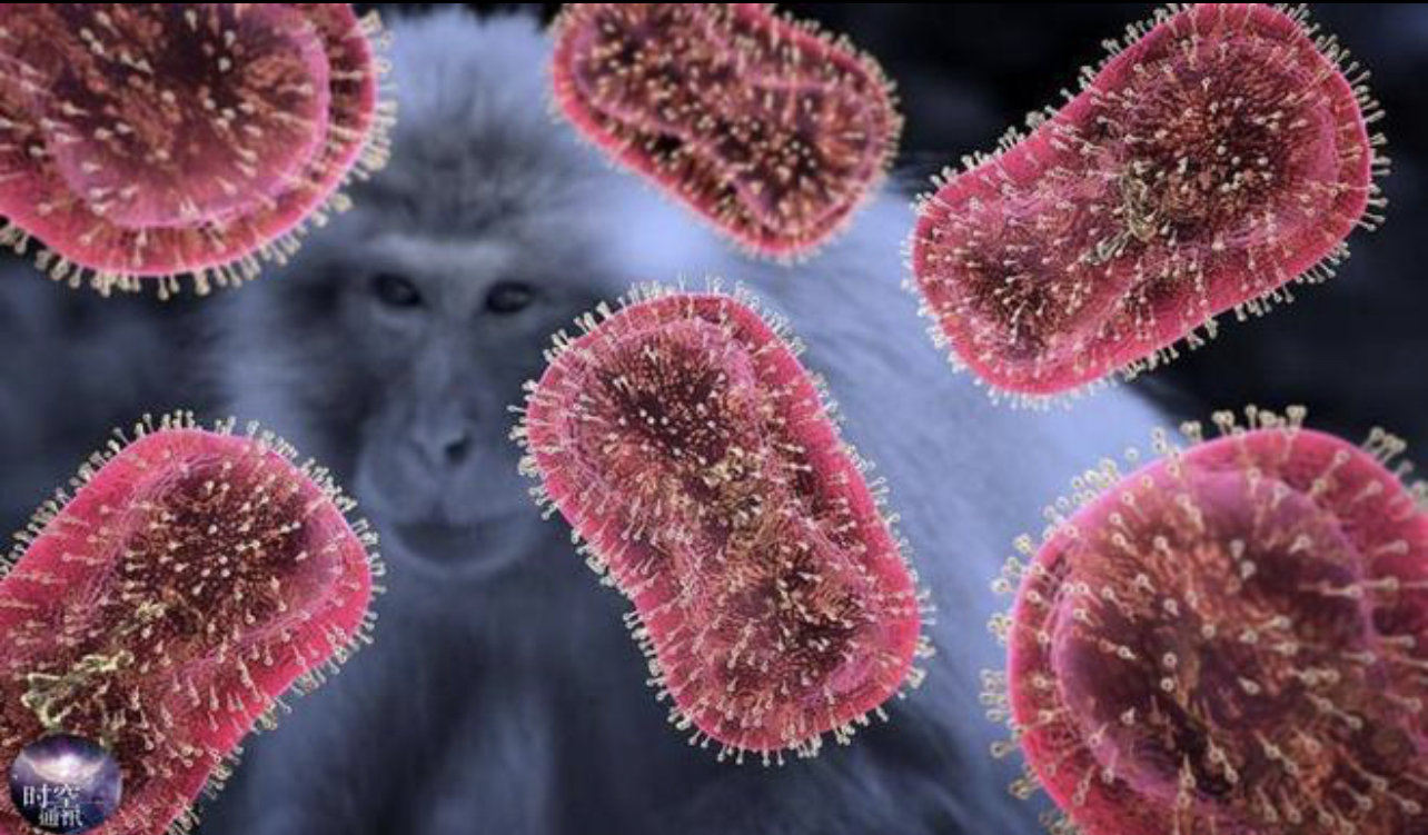 7月我国猴痘病例为何激增？张文宏团队发布《猴痘公众防护指南》