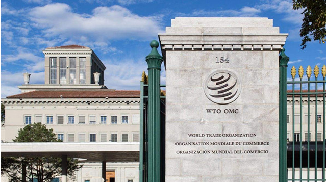独家|WTO将举行成员方高级官员会议，涵盖这些重要内容