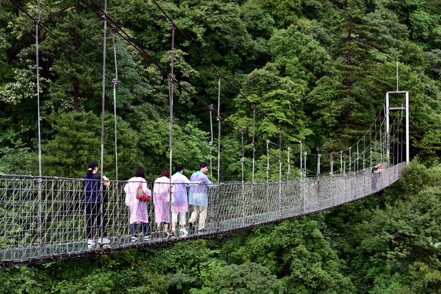 拓展文旅融合，长三角联手推进森林旅游康养产业区域一体化