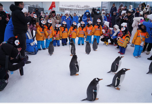 广西“小砂糖橘”揭开研学热背后：7岁儿童登陆南极
