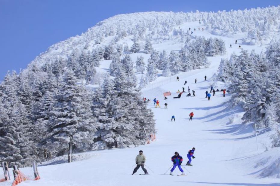 日本东北地区的滑雪场（来源：日本国家旅游局网站）