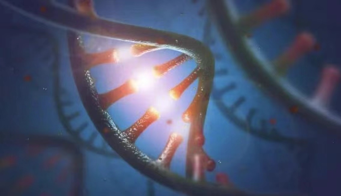 基因编辑疗法商业化提速，未来打一针就能治愈心脏病？