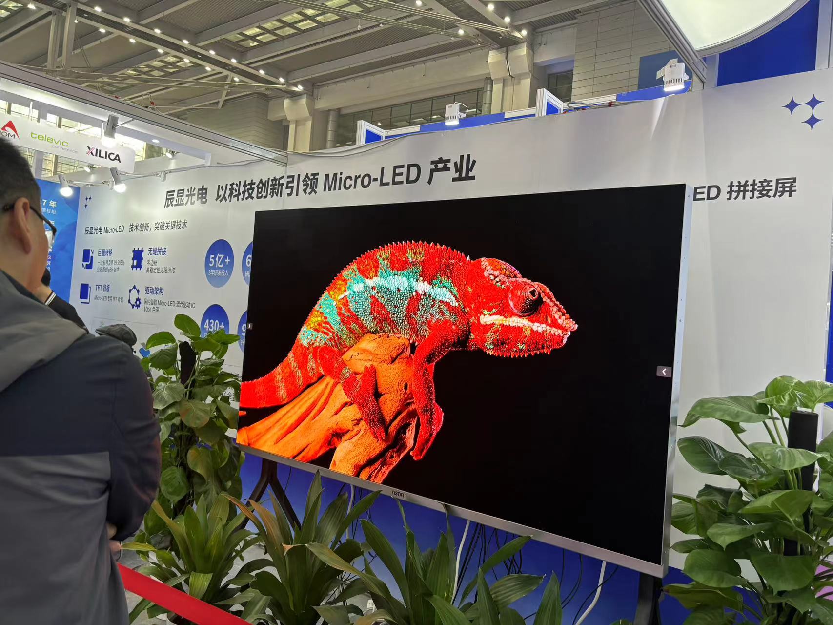 一家企业在2024国际半导体显示博览会上展示Micro LED屏。  王珍/摄