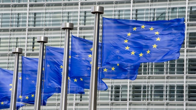 欧盟要求对自华进口电动车登记，或追溯征税，中企如何应对