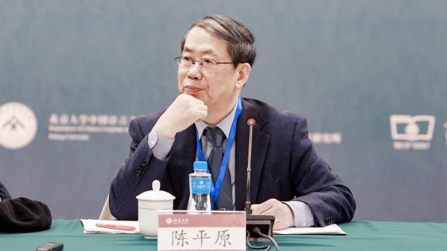 专访北大教授陈平原：大学必须重新关注“教书育人”