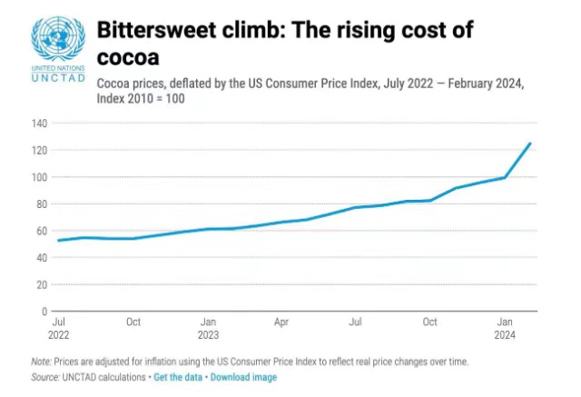 可可豆变“金豆豆”价格飙升，消费者将为气候变化买单？